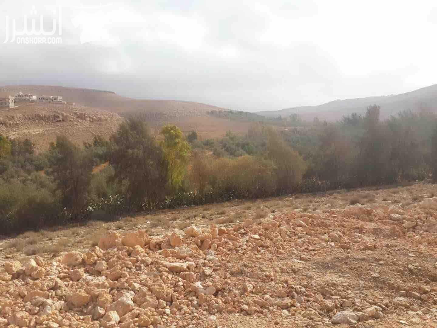 50 دونم قوشان مستقل في الاردن شارع ال100 تابعة لاراضي شرق عمان منطقة وادي العش حي جدول الاحياء للبيع مطلة وتبعد عن شارع ال 100 تقريبا 1000 متر ويوجد فيها شجر زيتون مثمر المنطقة جميلة ومخدومة البيع كا...