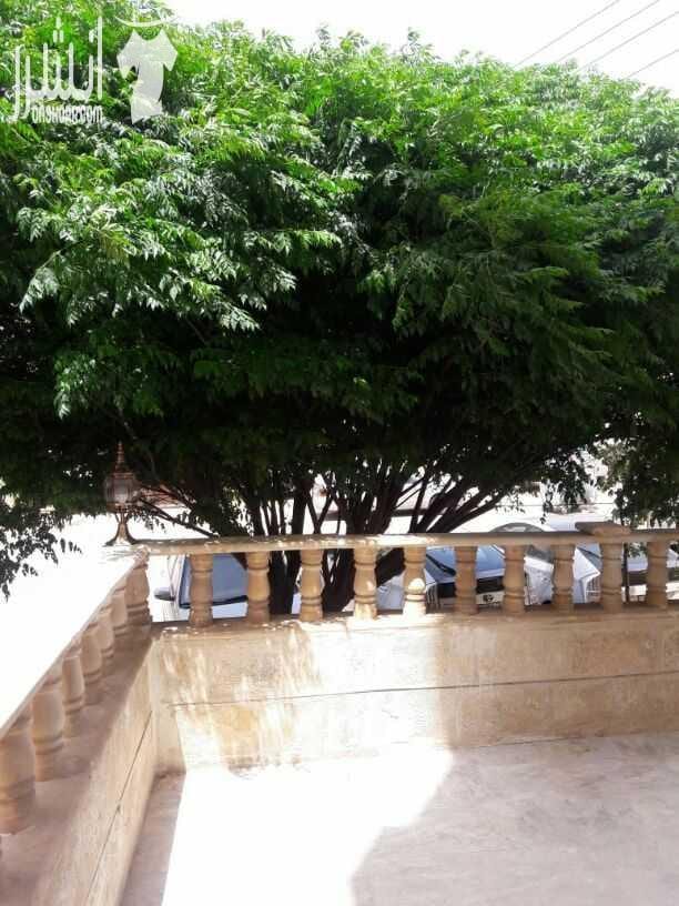 شقة ارضية مع ترس للبيع .. مقابل العيادات الخارجية لمستشفى حمزة منطقة هادئة جدا .. مساحتها الداخلية 135 م .. ثلاث غرف نوم ..ثلاث حمامات ..ومطبخ راكب جديد وحمامات تم عمل صيانة ب 5000د. تشطيبات ديلوكس ....