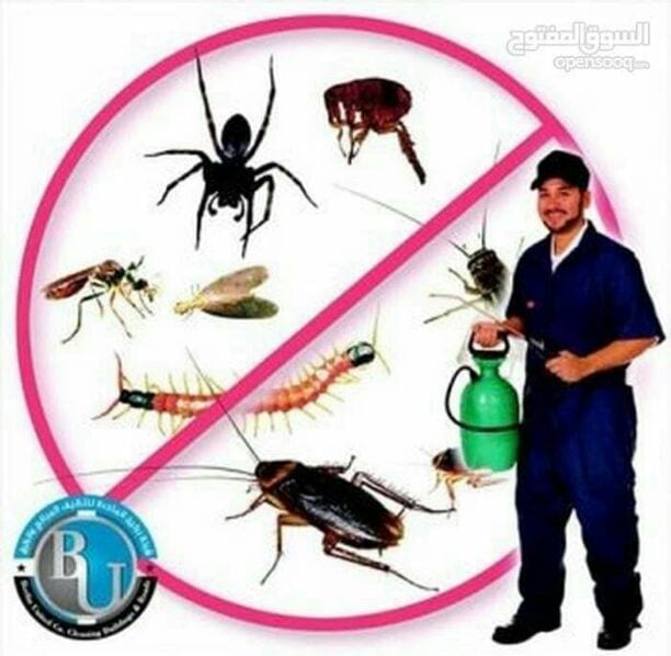 شركة لمسه الابتكار لخدمات التنظيف ومكافحة الحشرات تنظيف الفلل والشقق والبنايات والقصور تنظيف الزجاج من الداخل والخارج وتلميع الارضيات وتعقيمها وجلي الرخام تنظيف طقم الكنب والسجاد والستائر مع التعقيم ب...