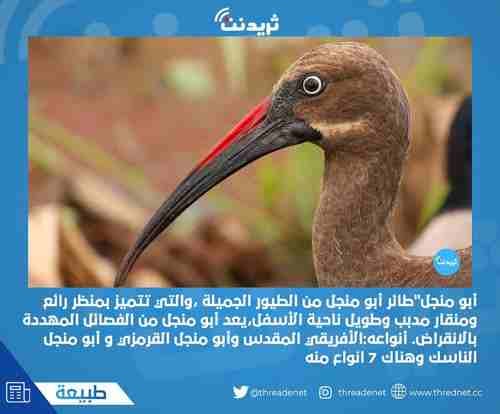 ثريد نت :
محتوى ثريدات تشوقية و ثقافية وترفيهية وقصص ونقاشات
اثرائية في كافة المجالات
ثريد نت :
موقع إلكترونيّ عربيّ انطلق منذ عام 2020م يختص بنشر المقالات والترفية
والقصص والنقاشات الاحترافيّة بشك...
