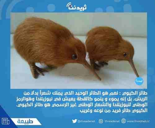 ثريد نت :
محتوى ثريدات تشوقية و ثقافية وترفيهية وقصص ونقاشات
اثرائية في كافة المجالات
ثريد نت :
موقع إلكترونيّ عربيّ انطلق منذ عام 2020م يختص بنشر المقالات والترفية
والقصص والنقاشات الاحترافيّة بشك...