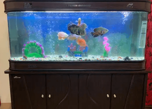 Aquarium for sale 150 cm with all the materials and fish