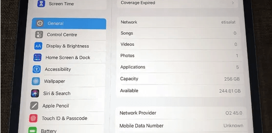 ipad pro 256gb