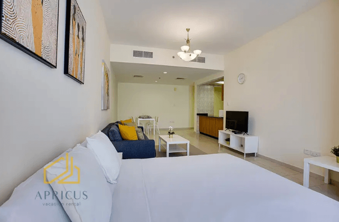 Huge Studio Apartment in JVC
