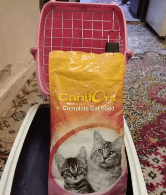 اكل و صندوق للقطط