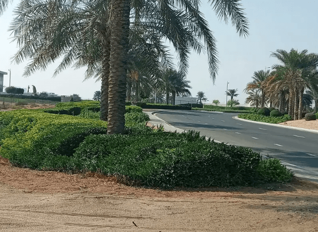 I own a land to build your dream home in the Al-Zorah area
Own your dream home in Al-Zorah
The best views in the Emirate of Ajman
Ready, modern designs that satisfy all tastes, you can choose from the...