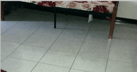 متوفر سرير للايجار