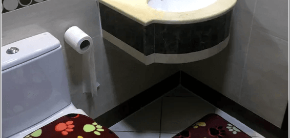 سكن مشترك في التعاون