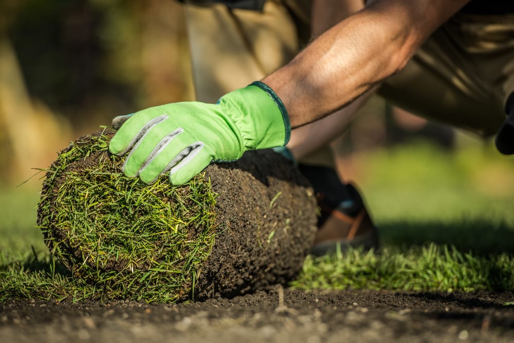 1 Stop Solution for Excellent Landscaping and Gardening Services