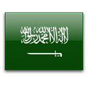 Flag of المملكة العربية السعودية — country code SA